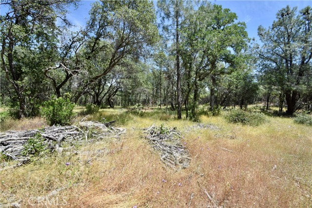0 Mackey Court, Oroville CA: https://media.crmls.org/medias/e7209d02-9e4a-4251-9bbf-f03d8331a126.jpg