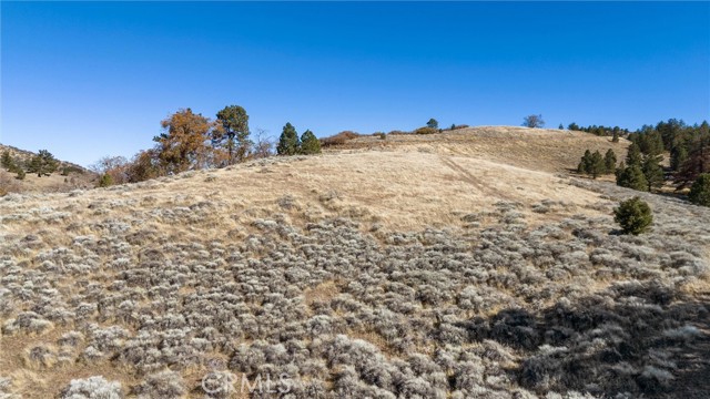 Detail Gallery Image 12 of 17 For 0 Alpine Forest Park, Tehachapi,  CA 92356 - – Beds | – Baths