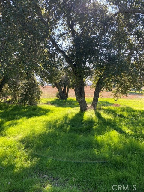 0 Lynch Ln, Hemet, CA, 92544 0 Lynch Ln, Hemet, CA, 92544