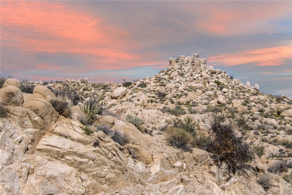 MLS #JT25264313 image #10