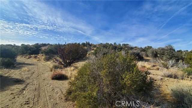 MLS #SR25242278 image #21