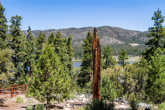 42728 Timberline Trail, Big Bear Lake CA: https://media.crmls.org/medias/e72d9ae6-c435-4677-9ba1-89c93b051f02.jpg