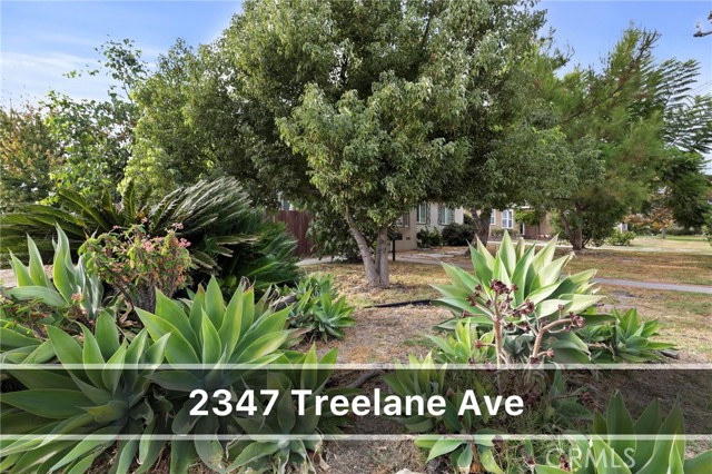 Detail Gallery Image 17 of 20 For 2347 Treelane Ave, Monrovia,  CA 91016 - – Beds | – Baths