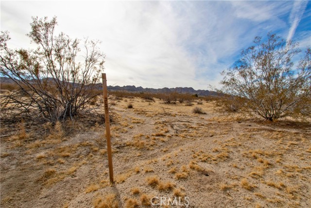 Detail Gallery Image 12 of 15 For 6425 Sun Ray Rd, Joshua Tree,  CA 92252 - – Beds | – Baths