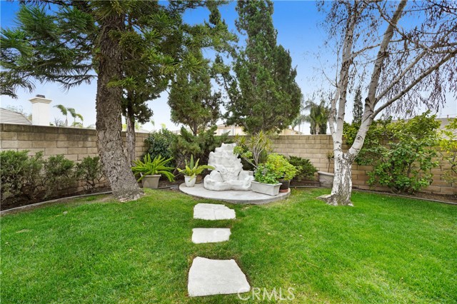 water fall in the back yard