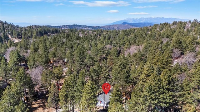 Detail Gallery Image 5 of 41 For 33338 Wild Rose, Green Valley Lake,  CA 92341 - 3 Beds | 2/1 Baths