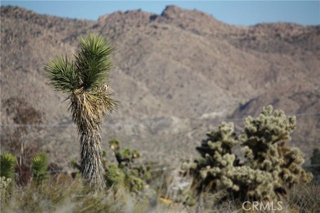 Detail Gallery Image 19 of 20 For 8435 Bannock Trl, Yucca Valley,  CA 92284 - – Beds | – Baths