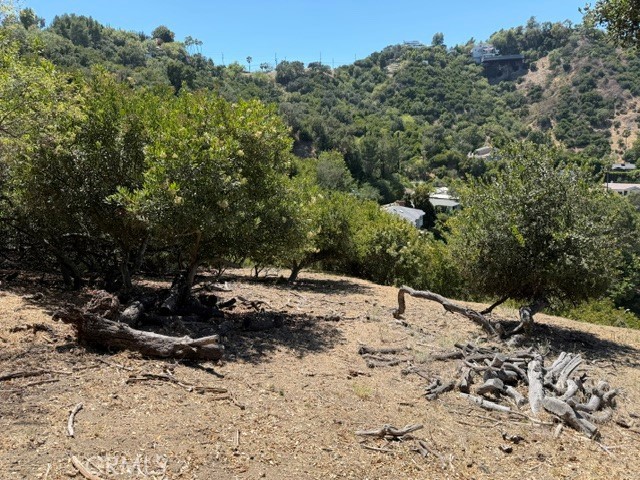 12937 Mulholland DR