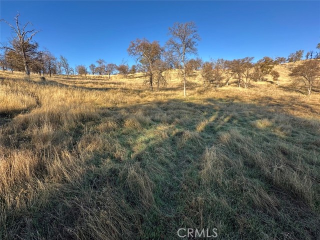 Detail Gallery Image 7 of 26 For 3228 Wild Rose Ct, Catheys Valley,  CA 95306 - – Beds | – Baths