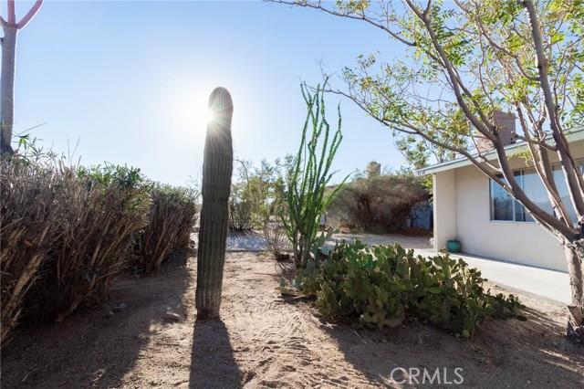 61740 Oleander Drive, Joshua Tree, California 92252, 2 Bedrooms Bedrooms, ,1 BathroomBathrooms,Residential,For Sale,61740 Oleander Drive,CRJT25127981