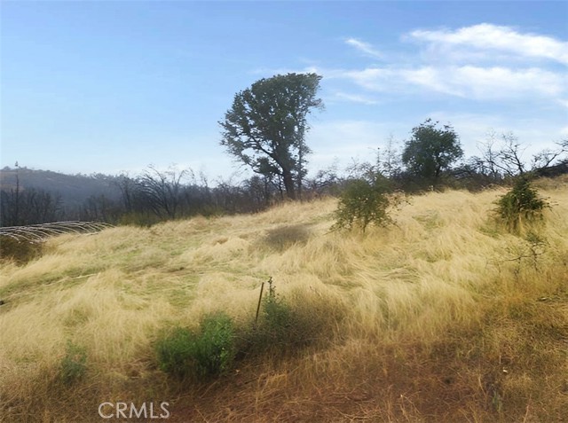 Detail Gallery Image 5 of 10 For 0 Pritchett, Berry Creek,  CA 95916 - – Beds | – Baths