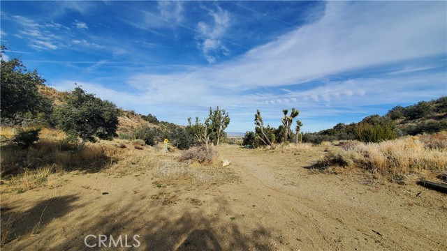 MLS #SR25242278 image #27