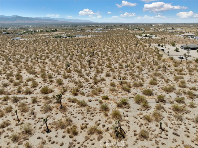 Front Image Thumbnail for CROC26085725