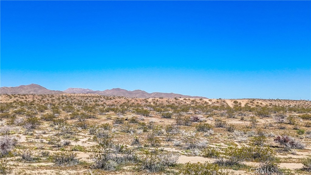 MLS #JT25078936 image #18