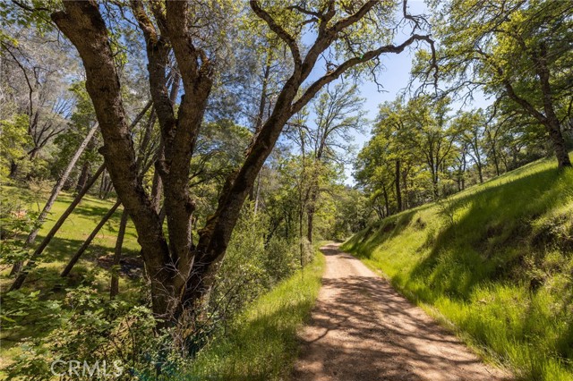 Detail Gallery Image 41 of 43 For 4743 Buffalo Gulch Rd, Midpines,  CA 95345 - – Beds | – Baths