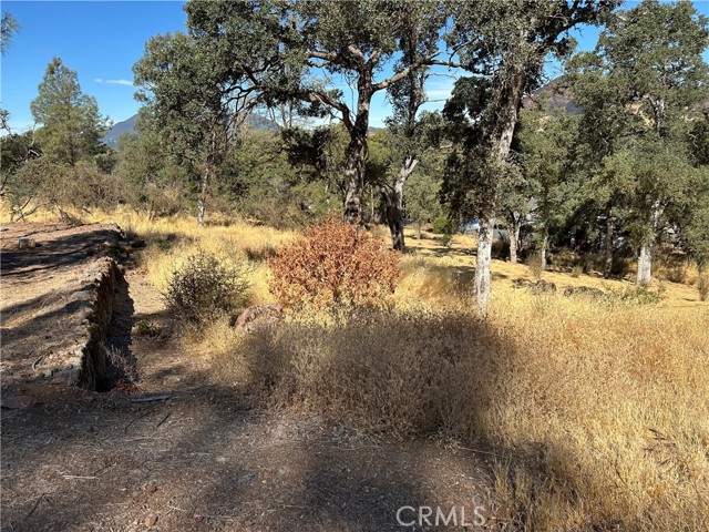 Detail Gallery Image 3 of 4 For 3503 Filmore Ave, Clearlake,  CA 95422 - – Beds | – Baths