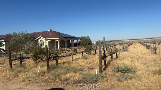 Front Image Thumbnail for CRSR26189635