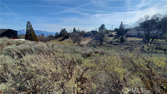 25041 Jacaranda Drive, Tehachapi, California 93561, ,Land,For Sale,25041 Jacaranda Drive,CRSR23210317