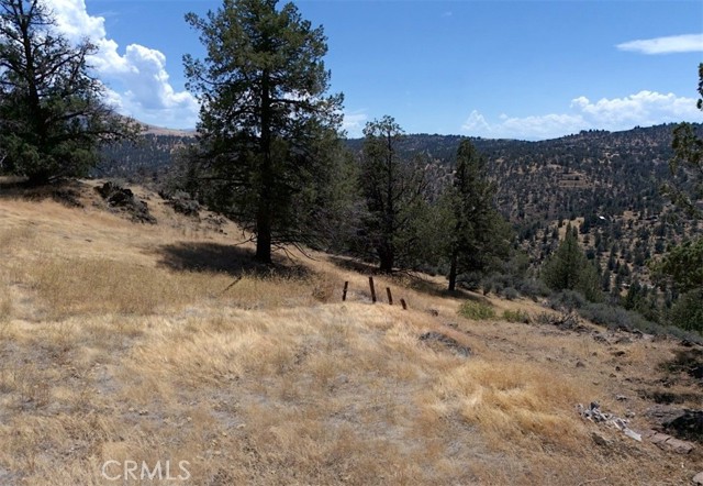 Detail Gallery Image 23 of 24 For 0 Erick Ln, Montague,  CA 96064 - – Beds | – Baths