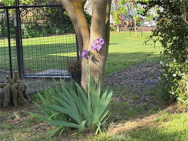 Detail Gallery Image 56 of 71 For 4371 County Road H, Orland,  CA 95963 - 3 Beds | 2 Baths
