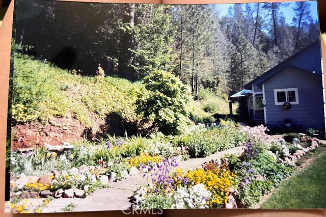 Detail Gallery Image 10 of 47 For 19942 Old Mill Rd, Lakehead,  CA 96051 - 2 Beds | 1/1 Baths