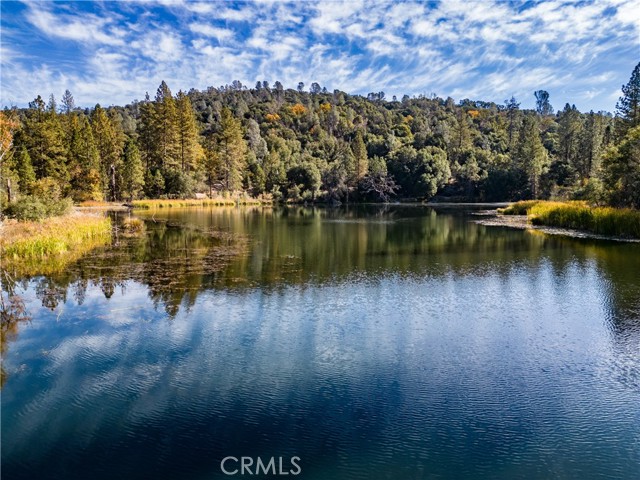 4816 Stumpfield Mountain Road, Mariposa, California 95338, 2 Bedrooms Bedrooms, ,1 BathroomBathrooms,Residential,For Sale,4816 Stumpfield Mountain Road,CRMP23211907