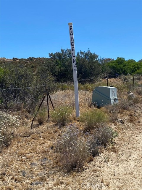 Front Image Thumbnail for CRSW25278495