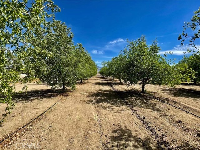 Detail Gallery Image 6 of 67 For 34034 Wilshire Rd, Lucerne Valley,  CA 92356 - 2 Beds | 1 Baths