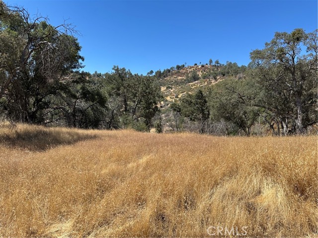 3896 B State Highway 140, Mariposa CA: https://media.crmls.org/medias/e77fa41f-613e-4cdd-93bb-2594a928815c.jpg