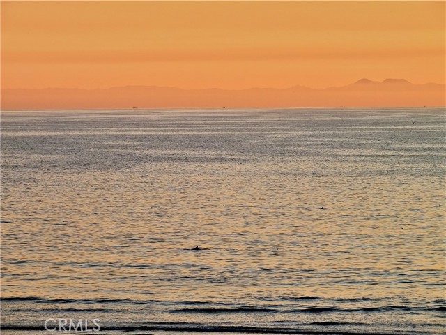 Detail Gallery Image 37 of 39 For 1724 E 1st St #9,  Long Beach,  CA 90802 - 1 Beds | 1 Baths