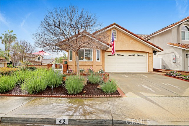 Front Image Thumbnail for CROC26036744