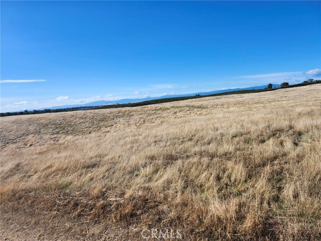 Detail Gallery Image 6 of 22 For 0 087-250-008-000, Corning,  CA 96021 - – Beds | – Baths