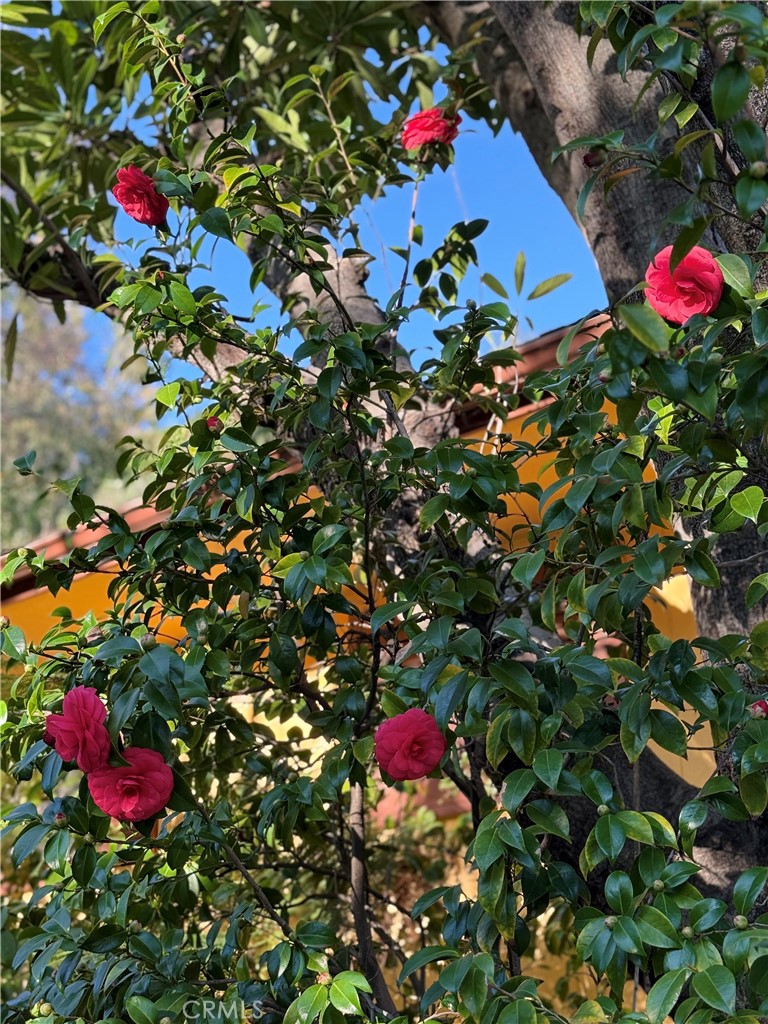 https://media.crmls.org/medias/e78ce924-4adb-43dd-a72a-8f2b32d7bc35.jpg?preset=X-Large