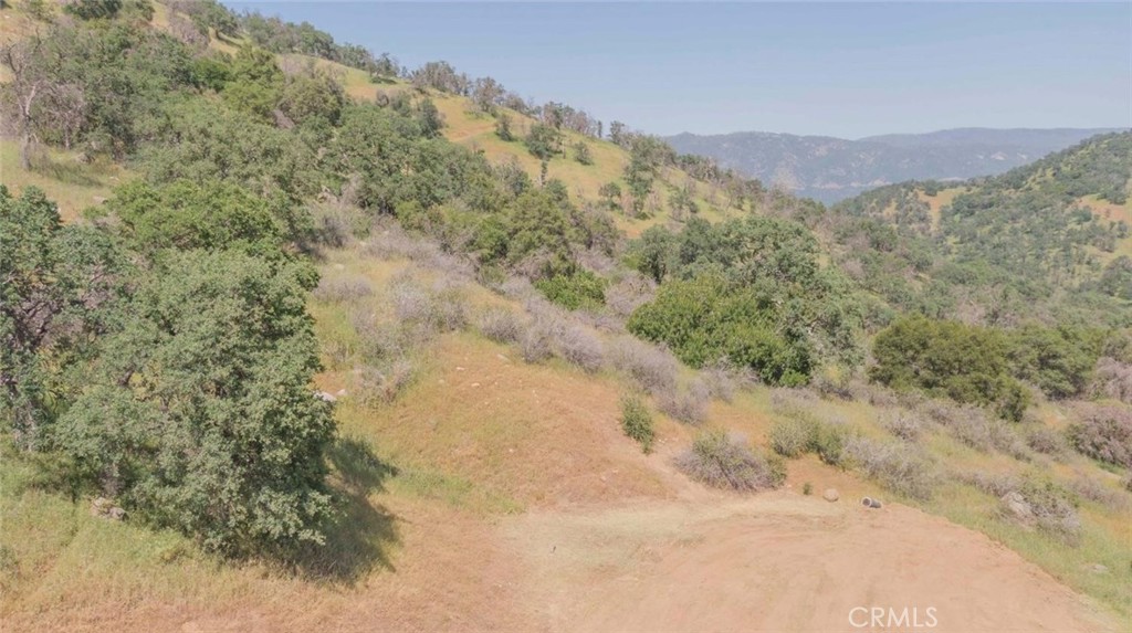 0 Ruth Hill Road, Squaw Valley, CA 93675