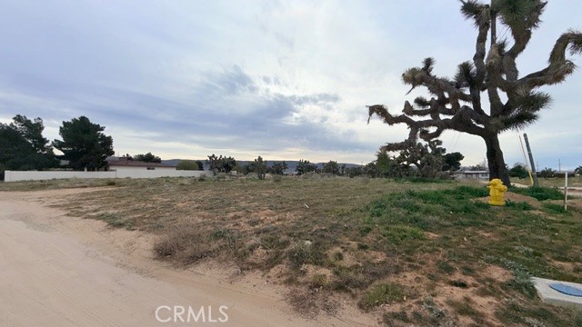 Detail Gallery Image 4 of 11 For 51 W Vic Ave 51st Stw Ave K-2, Quartz Hill,  CA 93536 - – Beds | – Baths