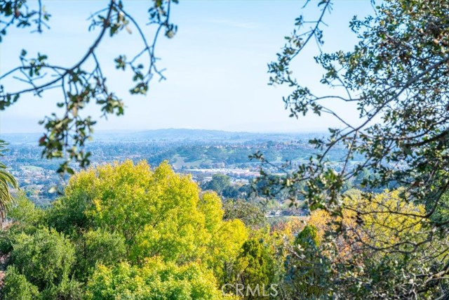Detail Gallery Image 40 of 64 For 549 Derby, Paso Robles,  CA 93446 - 5 Beds | 3/2 Baths