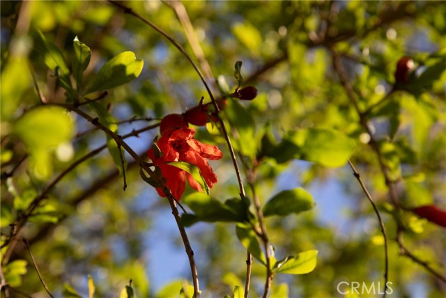 Detail Gallery Image 28 of 31 For 1129 Heatherview, Oak Park,  CA 91377 - 3 Beds | 2/1 Baths
