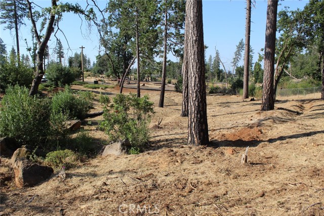 1830 Mosure Lane, Paradise, California 95969, ,Land,For Sale,1830 Mosure Lane,CRPA23153444