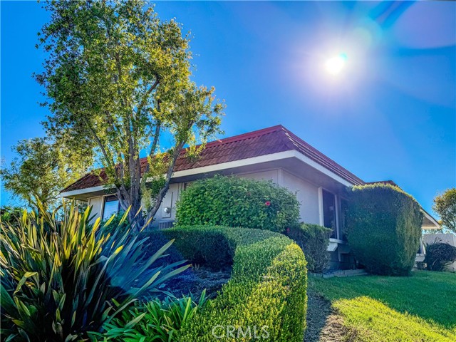 Front Image Thumbnail for CROC25270467