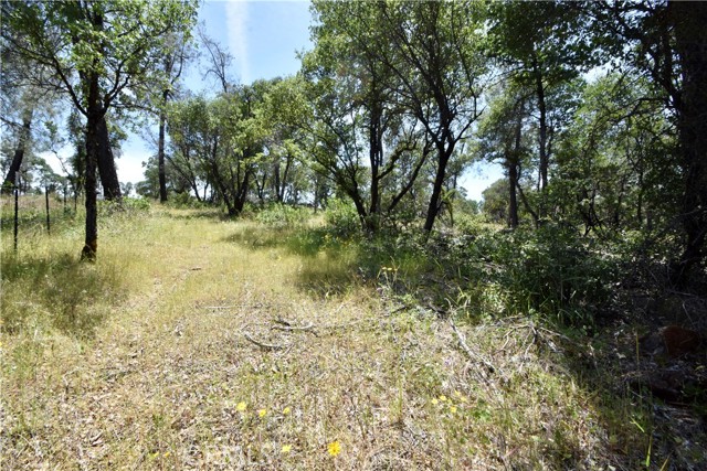 0 Mackey Court, Oroville CA: https://media.crmls.org/medias/e7c33fef-4898-4b74-8ce0-53d8dff0ce60.jpg