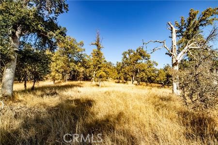 Detail Gallery Image 40 of 54 For 4816 Stumpfield Mountain Rd, Mariposa,  CA 95338 - 2 Beds | 2 Baths