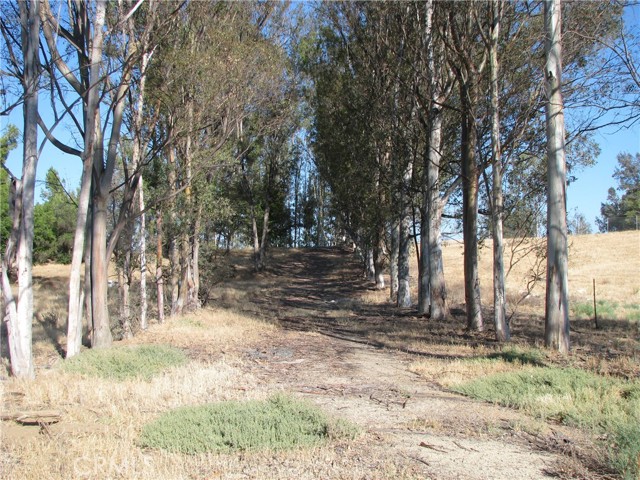 This 6.77 acre parcel is a flag lot located on the east side of Grand Ave. half way between Clinton Keith RD & Mcvicar St. in Wildomar.  This is one of the last unimproved, subdividable  parcels of land in this area of Wildomar.  This property is less that 1,000 feet north of Bear Creek Golf Club.  This property is three parcels south of the Bolder Creek development being constructed by Beazer Homes.  It is a half mile south of David Brown Middle School.  It is two miles east of the Santa Rosa Plateau Nature Preserve.  It is one & a Half miles to the Clinton Keith on ramp to the I-15 frwy. & three shopping centers.  It is two miles from Inland Valley Hospital.  Grand Ave. has recently been given a picturesque facelift with equestrian trails, bike path and pedestrian walkway in order to preserve the semi rural character of this scenic community.  This could be an excellent project for a small suburban infill development.