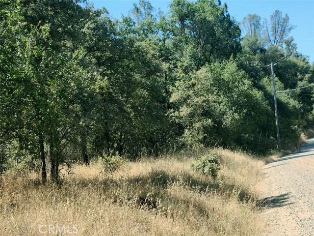 Detail Gallery Image 9 of 21 For 48 Rices Texas Hill Rd, Oregon House,  CA 95962 - – Beds | – Baths