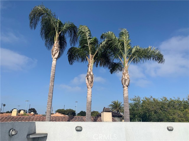 View from rooftop deck.