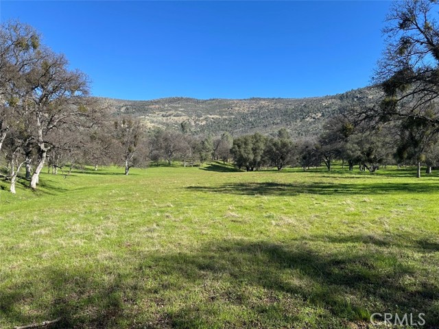 Detail Gallery Image 11 of 32 For 471 Ac - Hwy 49n, Mariposa,  CA 95338 - – Beds | – Baths