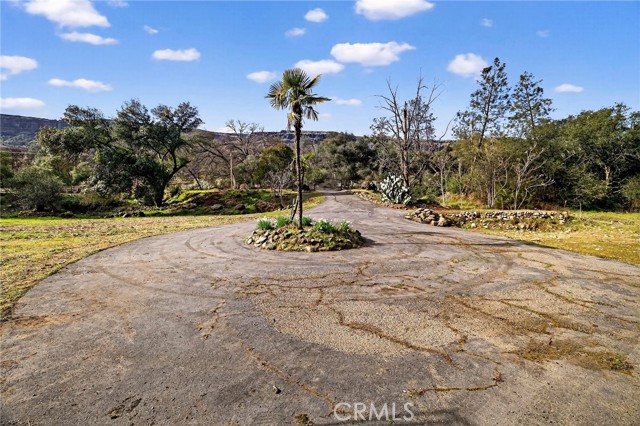 Detail Gallery Image 12 of 43 For 12738 Centerville Road, Chico,  CA 95928 - – Beds | – Baths