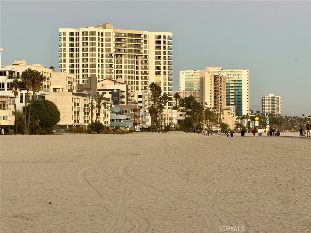 1310 E Ocean Boulevard #906