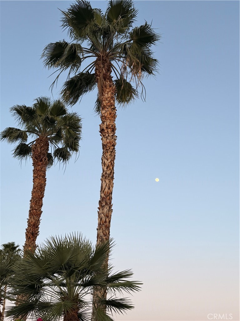https://media.crmls.org/medias/e7ed4941-ccb7-41e0-b906-9e8b499be3eb.jpg?preset=X-Large