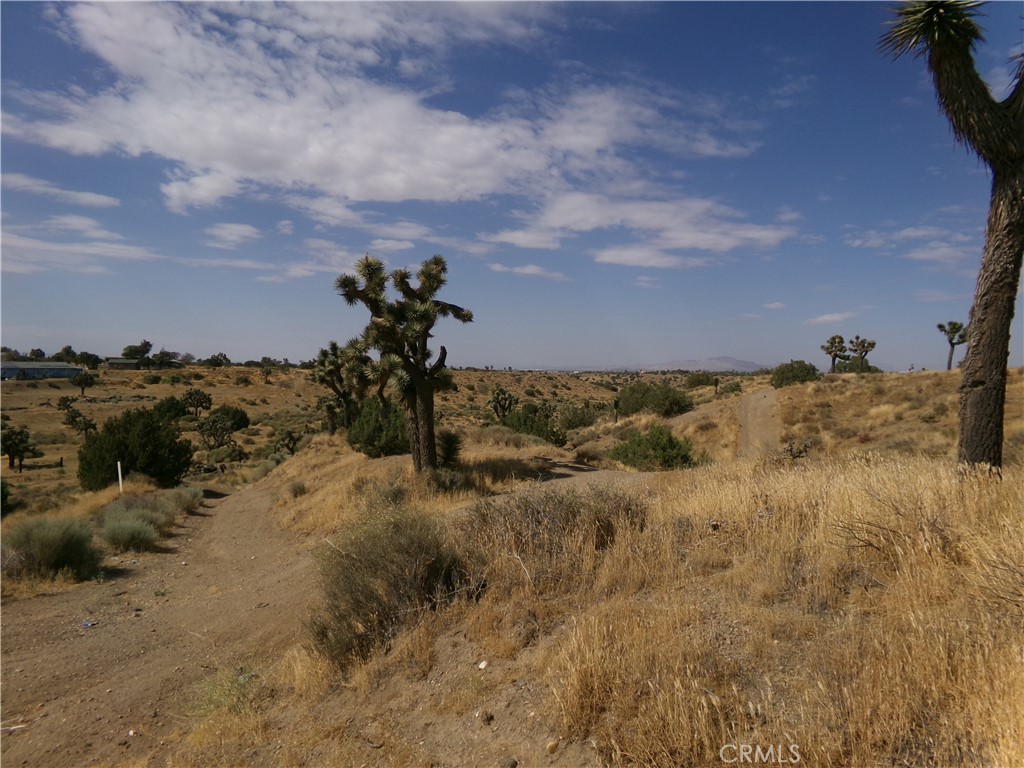 MLS #HD26160181 image #11