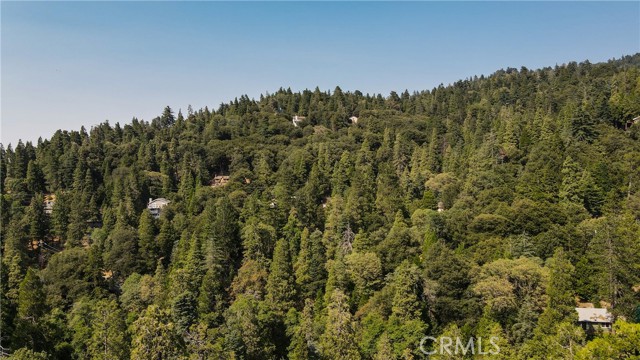Detail Gallery Image 38 of 48 For 24941 Faulhorn Dr, Crestline,  CA 92325 - 3 Beds | 1/1 Baths